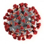 coronavirus3(2)